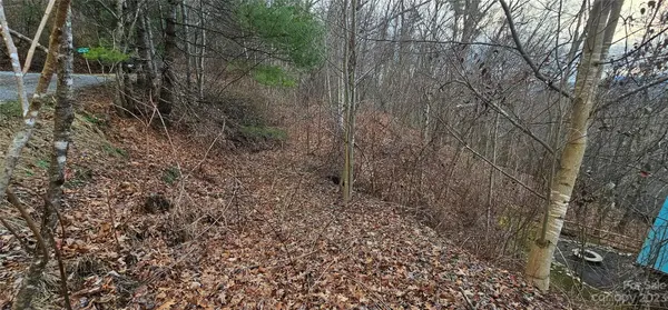 4 Lots Seay Mountain RD, Waynesville, NC 28785