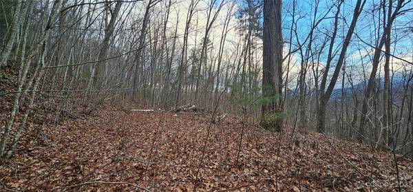 4 Lots Seay Mountain RD, Waynesville, NC 28785