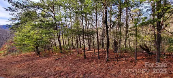 V/L Chickasaw WAY #2B, Marion, NC 28752