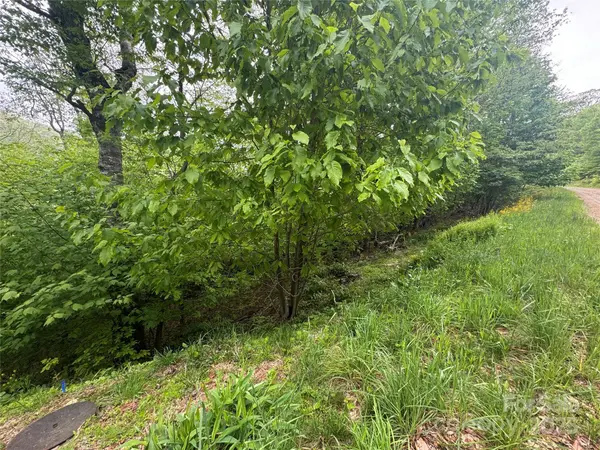 22 Zebulon LN, Mars Hill, NC 28754