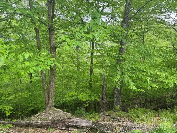 22 Zebulon LN, Mars Hill, NC 28754
