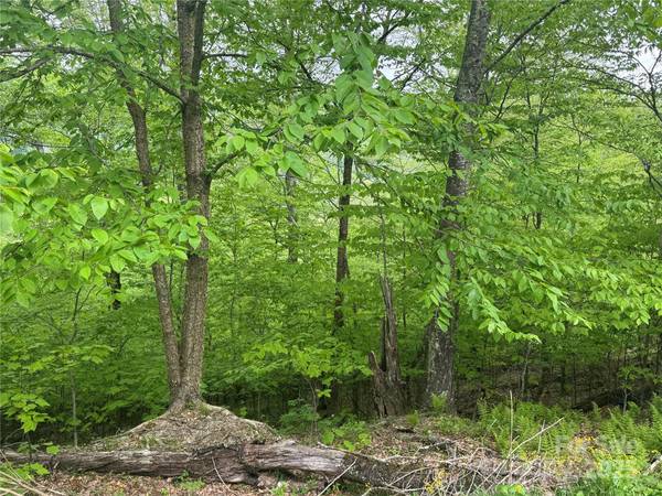 22 Zebulon LN, Mars Hill, NC 28754