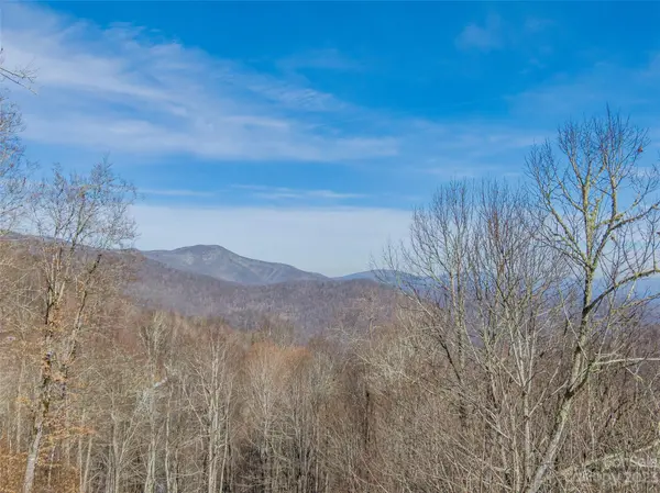 Lot 42 Black Bear RUN, Mars Hill, NC 28754