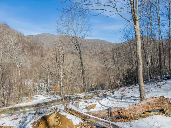 Lot 6 Settlement WAY, Mars Hill, NC 28754