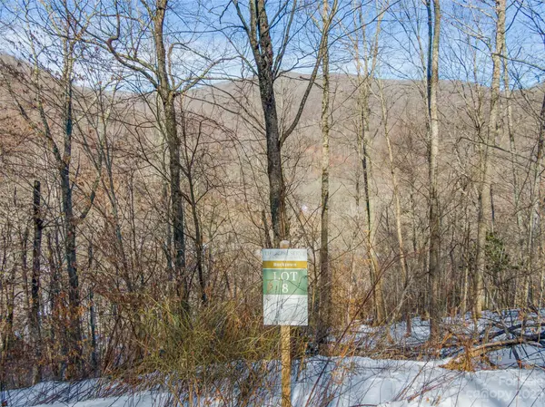 Lot 8 Settlement WAY, Mars Hill, NC 28754