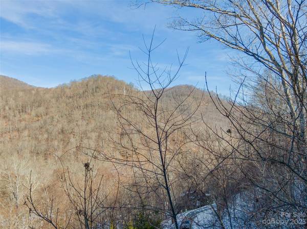 Lot 7 Hadleigh Pearl WAY, Mars Hill, NC 28754