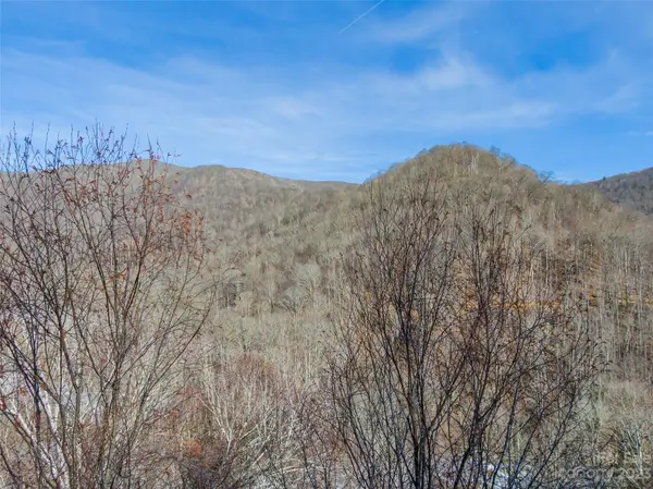 Lot 15 Hadleigh Pearl WAY, Mars Hill, NC 28754