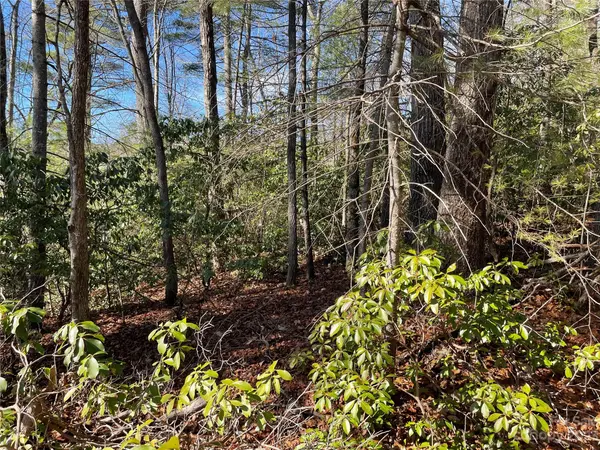 00 Willow Run LN #16, Zirconia, NC 28790