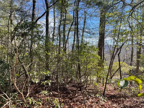 00 Willow Run LN #16, Zirconia, NC 28790
