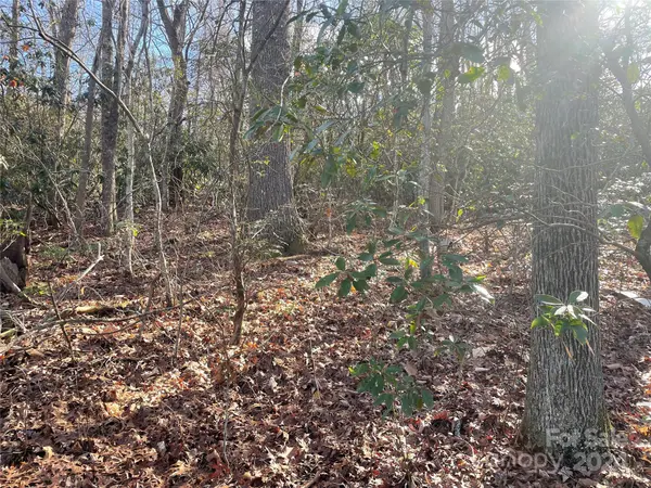 146 Center ST #9 & 10, Black Mountain, NC 28711