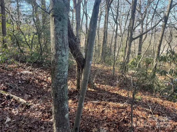 146 Center ST #9 & 10, Black Mountain, NC 28711