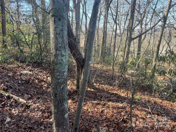 146 Center ST #9 & 10, Black Mountain, NC 28711