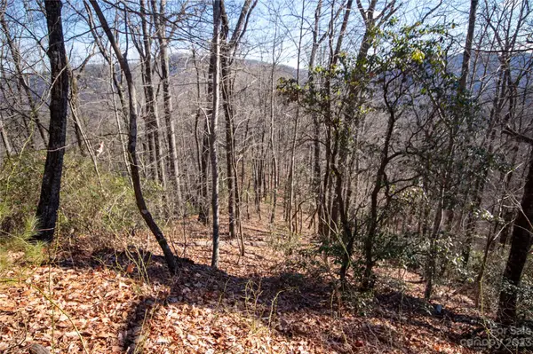 Lot# 502 Fire Crest LN #502, Lenoir, NC 28645