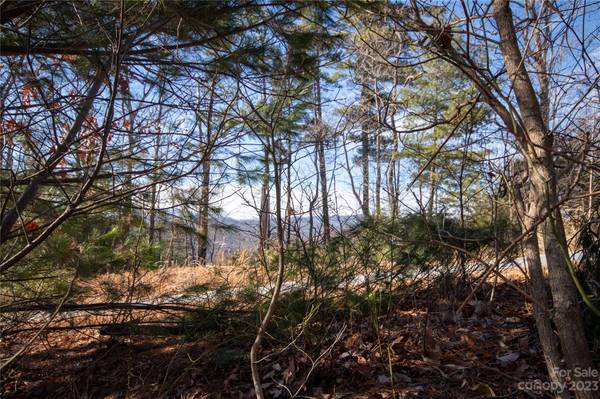 Lot# 502 Fire Crest LN #502, Lenoir, NC 28645