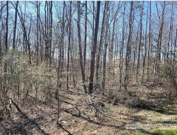 4600 TBD Waxhaw Marvin RD, Waxhaw, NC 28173