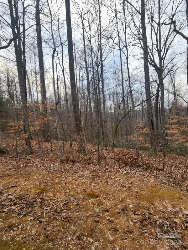 Lot #73 Black Lark DR, Marion, NC 28752