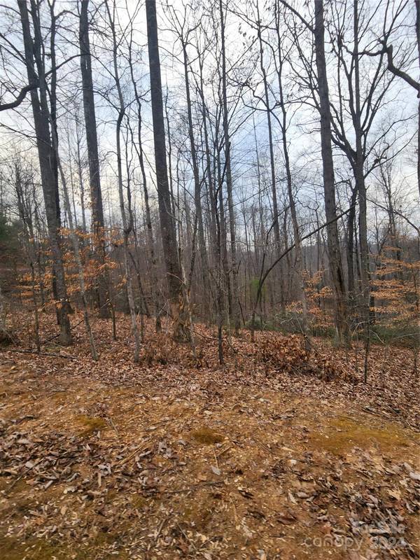 Lot #73 Black Lark DR, Marion, NC 28752