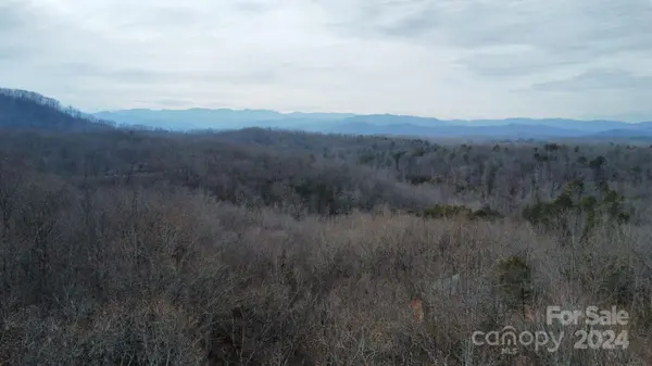 Lot #73 Black Lark DR, Marion, NC 28752