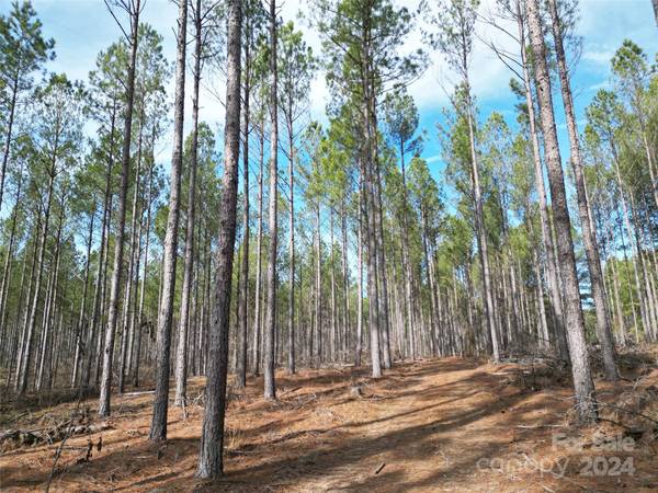 TBD Spencer Pointe RD #Lot 21A, Lilesville, NC 28091