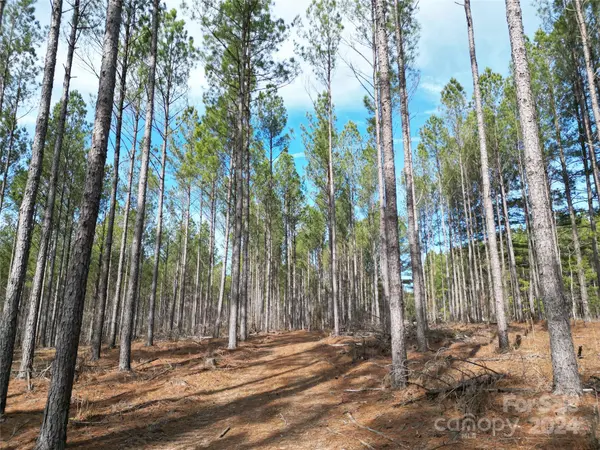 TBD Spencer Pointe RD #Lot 21A, Lilesville, NC 28091
