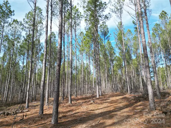 TBD Spencer Pointe RD #Lot 20C, Lilesville, NC 28091