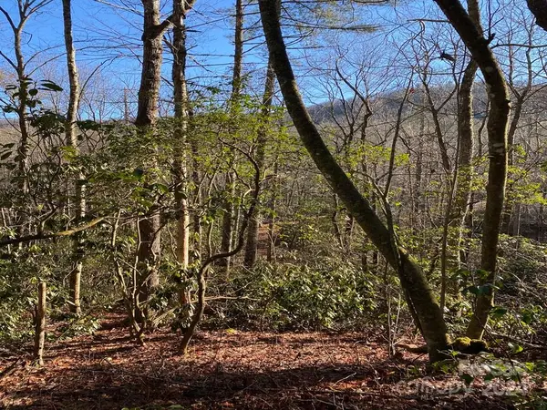 L41 Abby Falls RD #L41, Rosman, NC 28772