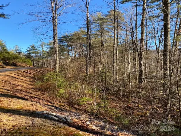 L41 Abby Falls RD #L41, Rosman, NC 28772