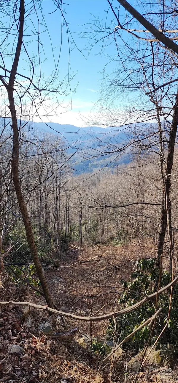 9999 Still Spring RD, Black Mountain, NC 28711