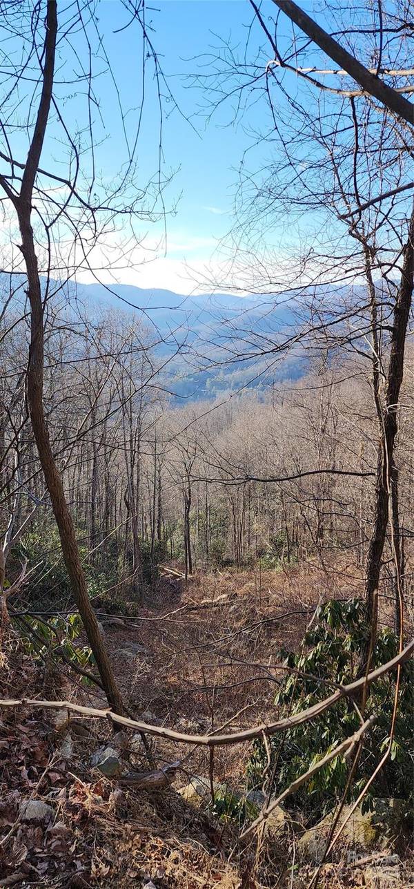 9999 Still Spring RD, Black Mountain, NC 28711
