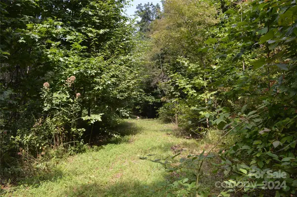 9999 Still Spring RD #Lot 4, Black Mountain, NC 28711