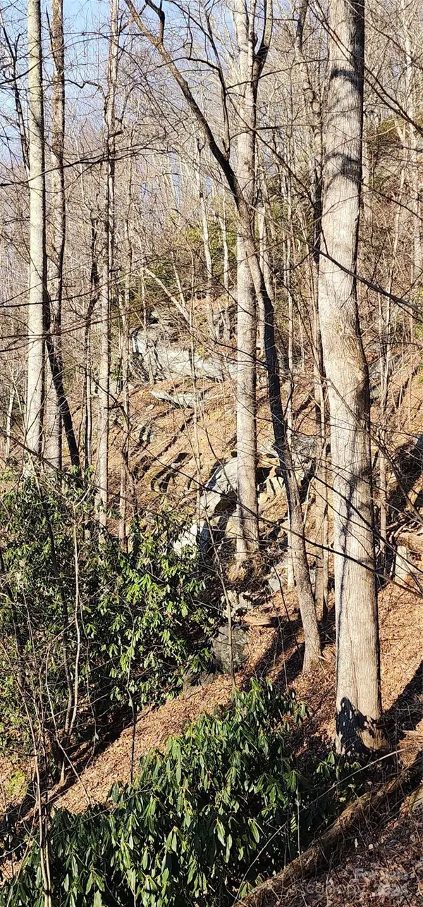 9999 Still Spring RD #Lot 4, Black Mountain, NC 28711