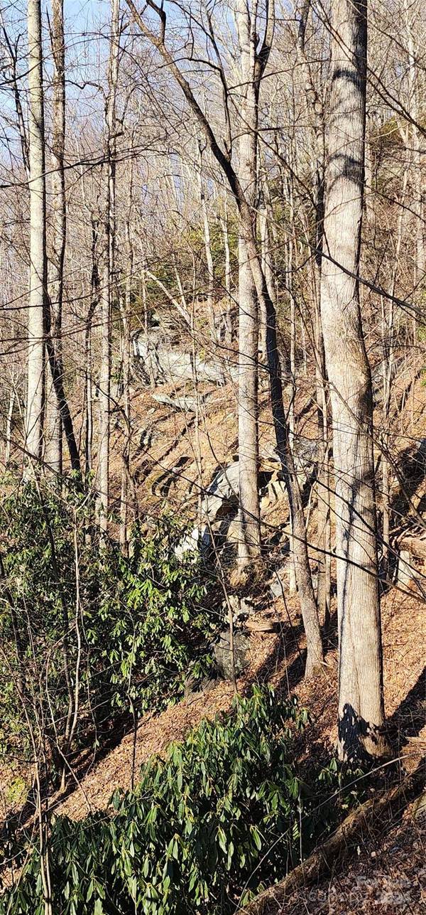 9999 Still Spring RD #Lot 4, Black Mountain, NC 28711