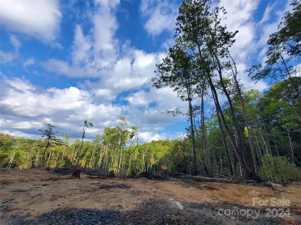 TBD Parkwood Hill RD, Spruce Pine, NC 28777