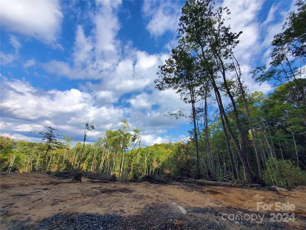 TBD Parkwood Hill RD, Spruce Pine, NC 28777