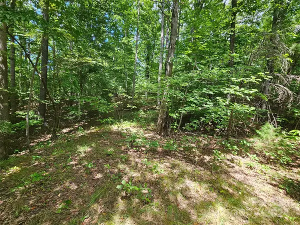 0 Broyhill RD, Rutherfordton, NC 28139