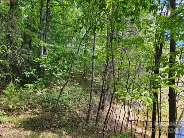 0 Broyhill RD, Rutherfordton, NC 28139