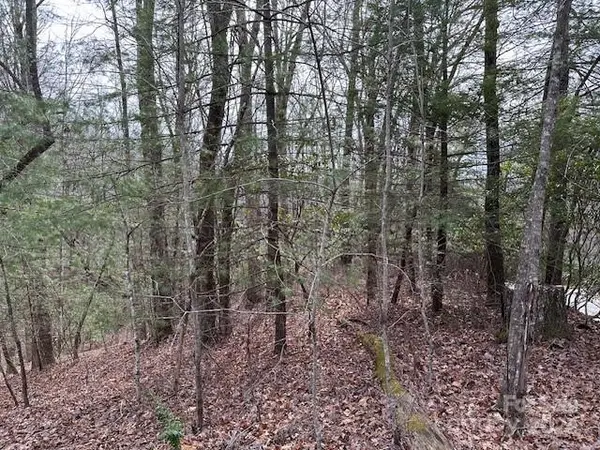 TBD Dotsuwa CT #L130&131-U26, Brevard, NC 28712