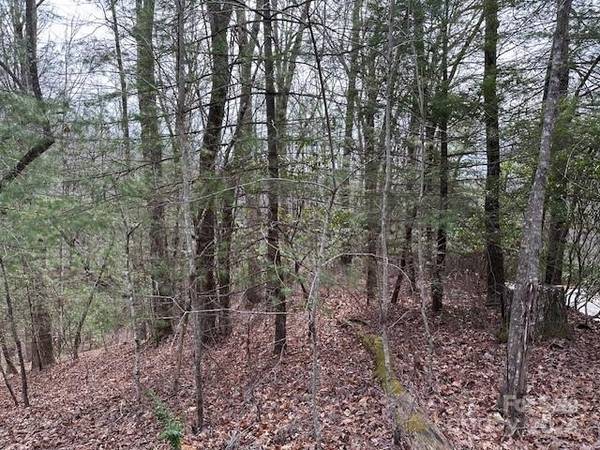 TBD Dotsuwa CT #L130&131-U26, Brevard, NC 28712