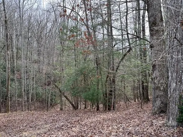 TBD Dotsuwa CT #L130&131-U26, Brevard, NC 28712