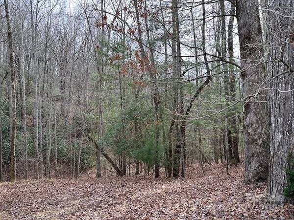 TBD Dotsuwa CT #L130&131-U26, Brevard, NC 28712