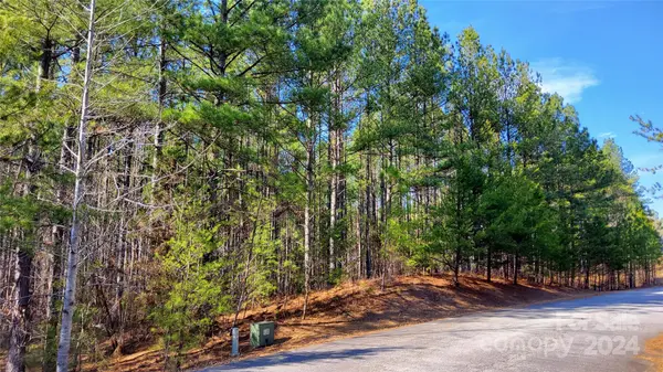 0 Sunset DR #20, Mill Spring, NC 28756