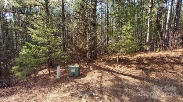 0 Sunset DR #20, Mill Spring, NC 28756