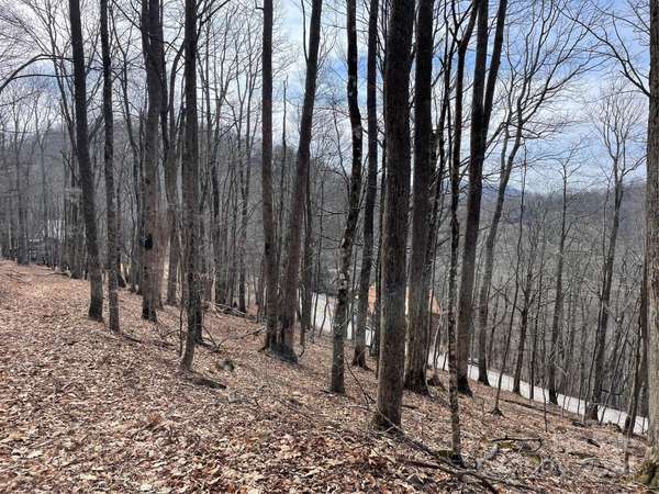 000 El Miner DR #464, Mars Hill, NC 28754