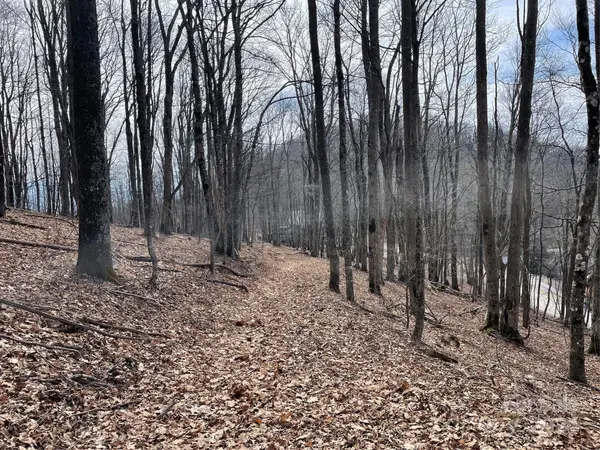 000 El Miner DR #464, Mars Hill, NC 28754