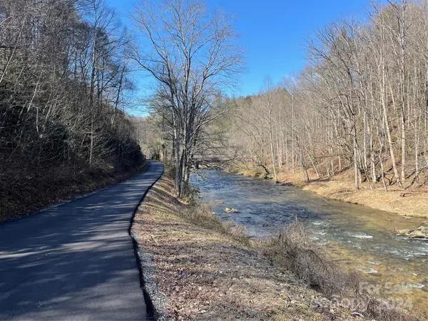 000 Bear River Lodge TRL #77, Marshall, NC 28753