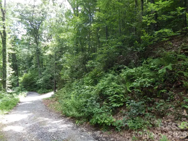 00 Hoot Owl Bill RD, Maggie Valley, NC 28751