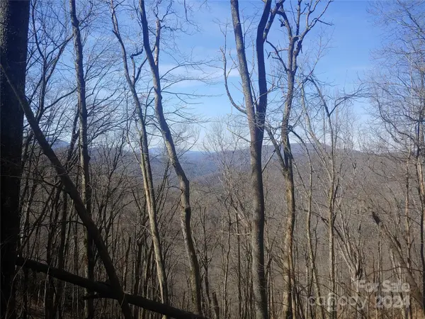 34 Barn Cove RD, Clyde, NC 28721