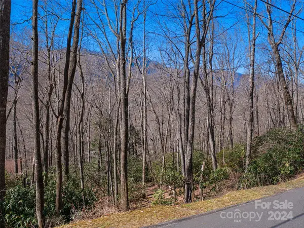 000 Big Ridge RD #62 & 63, Burnsville, NC 28714