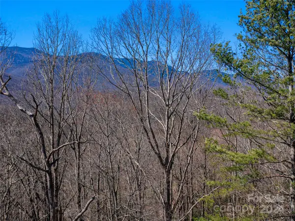 000 Big Ridge RD #62 & 63, Burnsville, NC 28714