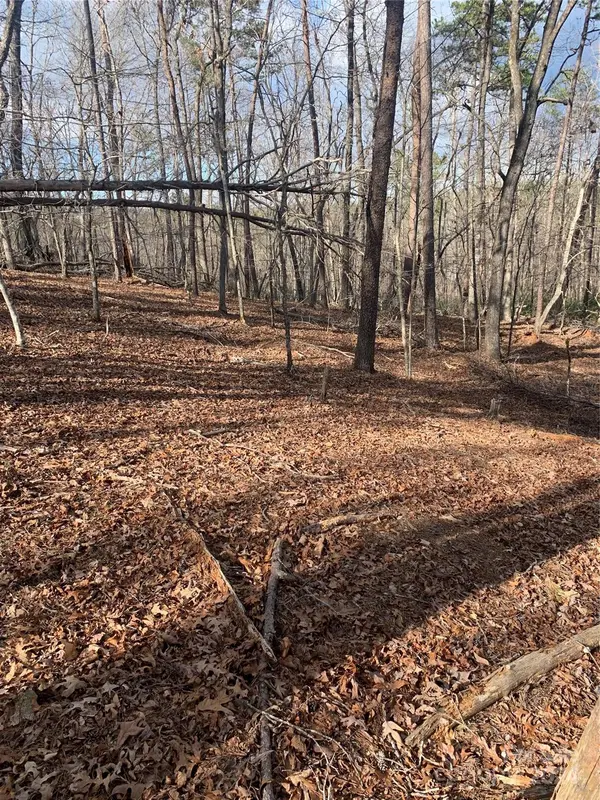 0 N Lynch RD SW, Mill Spring, NC 28756